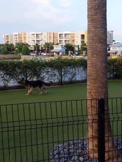 Center Lake Doggy Park - Oviedo, FL