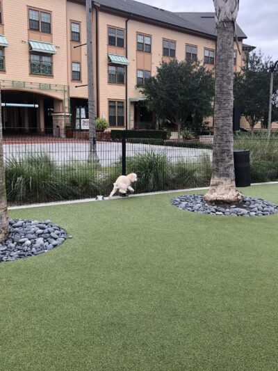 Center Lake Doggy Park - Oviedo, FL