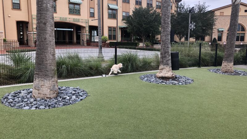 Center Lake Doggy Park - Oviedo, FL