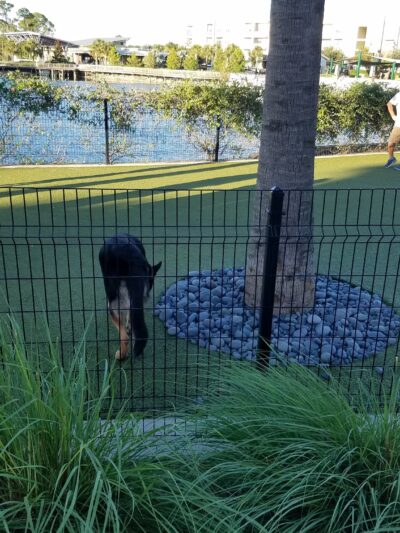 Center Lake Doggy Park - Oviedo, FL