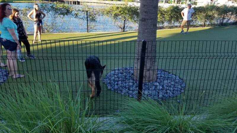 Center Lake Doggy Park - Oviedo, FL