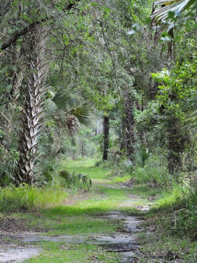 Lake Jesup Conservation Area East Tract Trailhead - Oviedo, FL