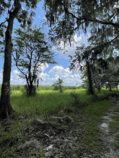 Lake Jesup Conservation Area East Tract Trailhead - Oviedo, FL