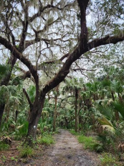 Lake Jesup Conservation Area East Tract Trailhead - Oviedo, FL