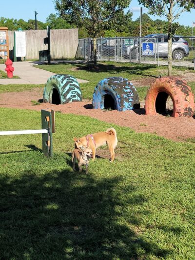 Shane Kelly Bark Park - Oviedo, FL