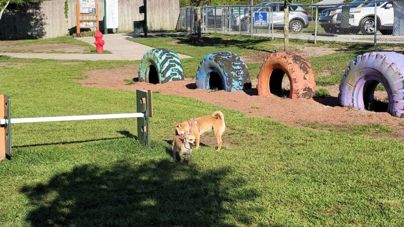 Shane Kelly Bark Park - Oviedo, FL