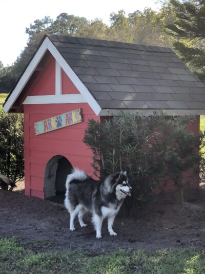 Shane Kelly Bark Park - Oviedo, FL