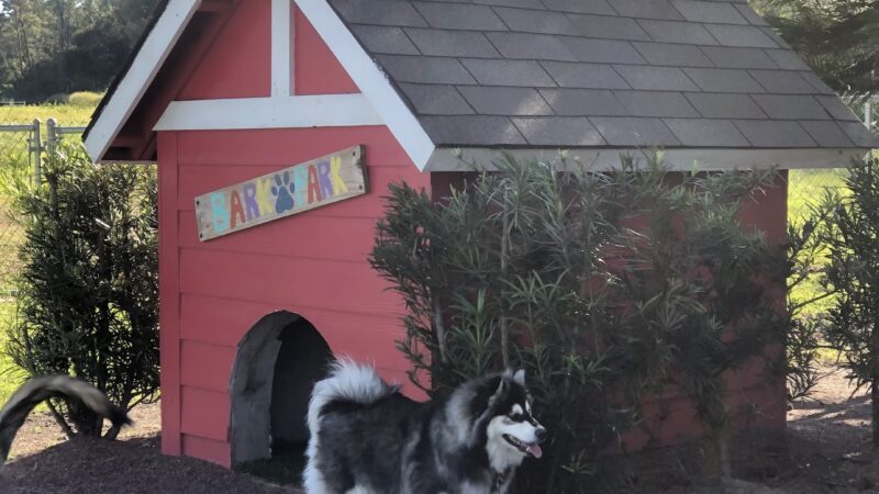 Shane Kelly Bark Park - Oviedo, FL