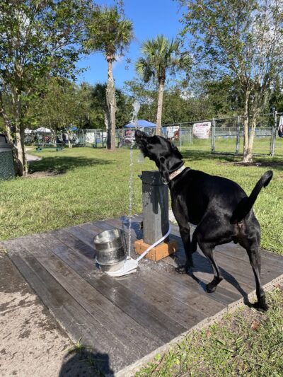 Shane Kelly Bark Park - Oviedo, FL
