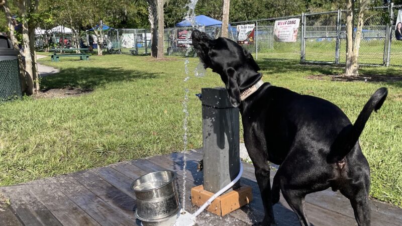 Shane Kelly Bark Park - Oviedo, FL