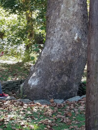 Bath County Park - Owingsville, KY