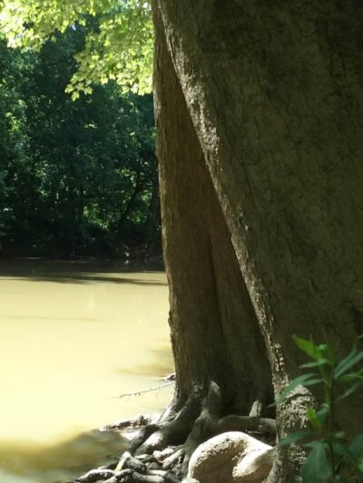 Bath County Park - Owingsville, KY