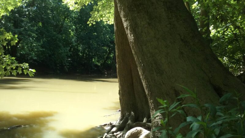 Bath County Park - Owingsville, KY