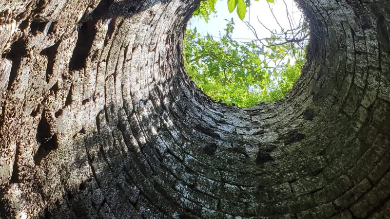 Bath County Park - Owingsville, KY