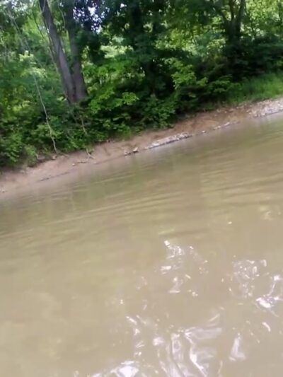 Lions Park - Owingsville, KY