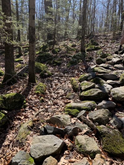 Jackson Cove Town Park - Oxford, CT