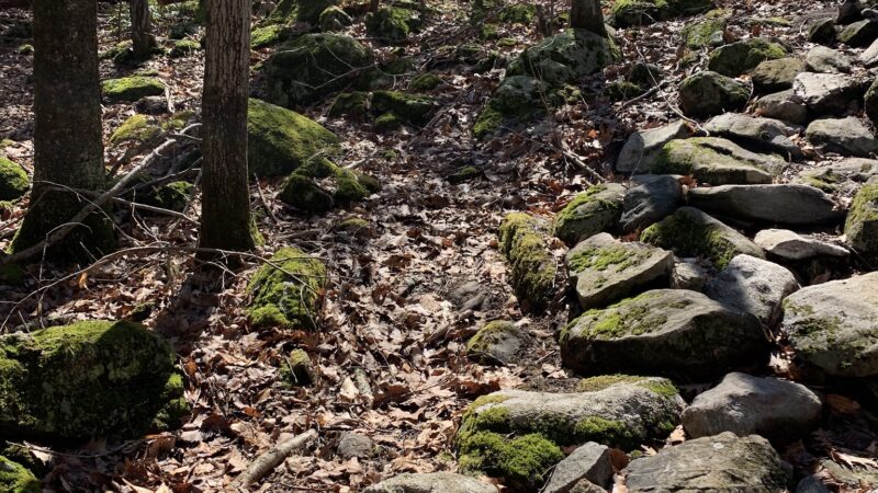 Jackson Cove Town Park - Oxford, CT