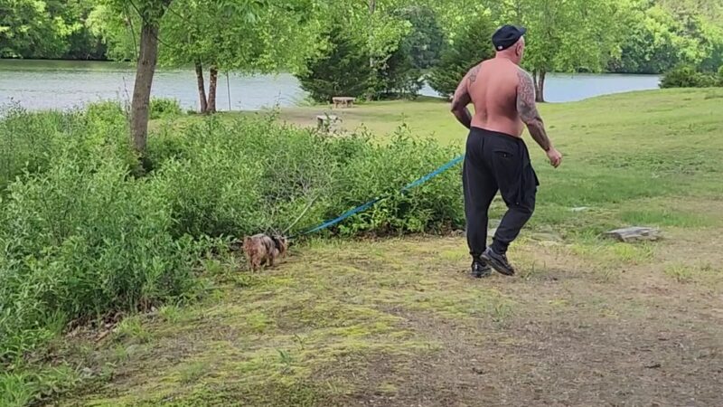 Jackson Cove Town Park - Oxford, CT