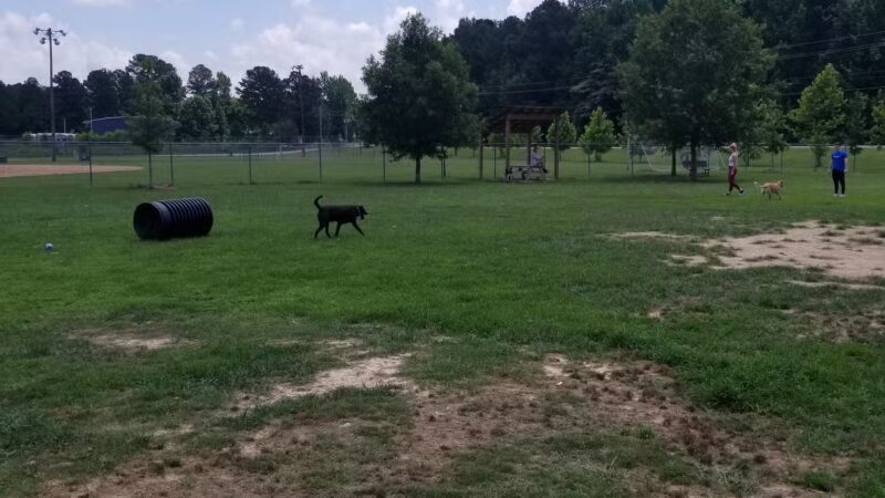 OLHS Dog Park - Oxford, MS