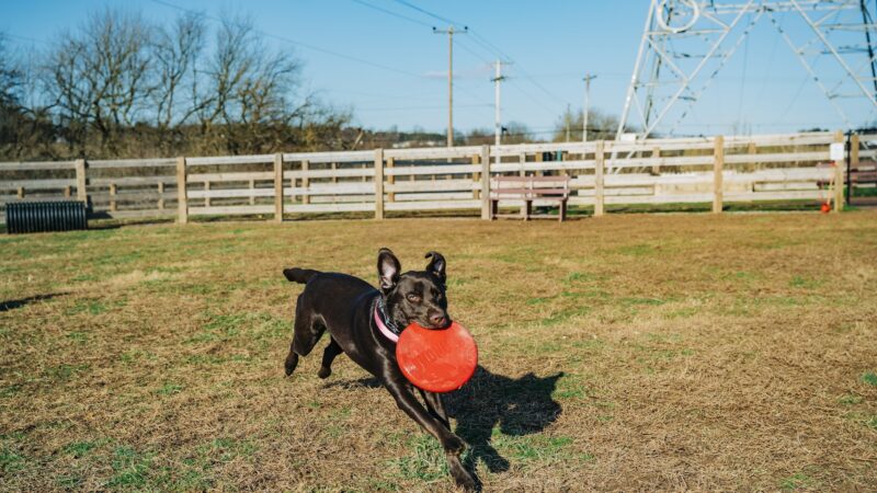 Oxford Area Recreation Dog Park - Oxford, PA