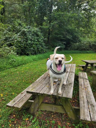 Oxford Area Recreation Dog Park - Oxford, PA