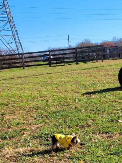Oxford Area Recreation Dog Park - Oxford, PA