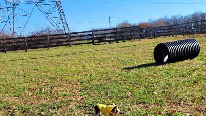 Oxford Area Recreation Dog Park - Oxford, PA