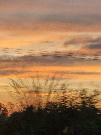 Oxford Area Recreation Dog Park - Oxford, PA