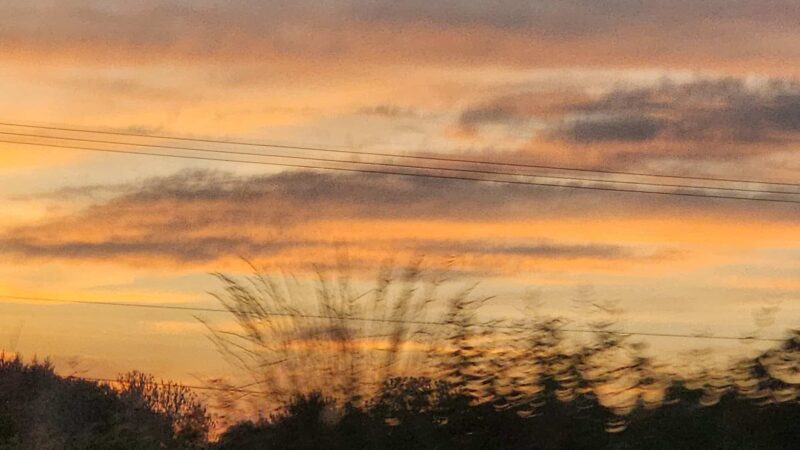 Oxford Area Recreation Dog Park - Oxford, PA