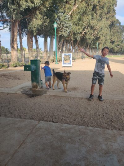 College Dog Park - Oxnard, CA