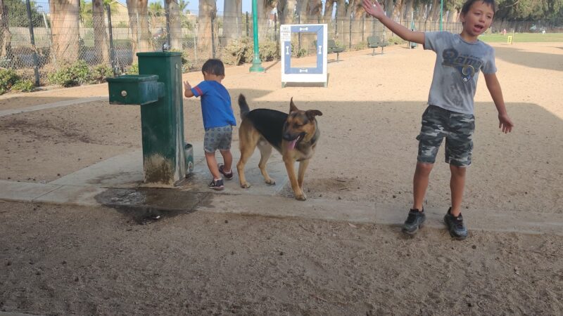College Dog Park - Oxnard, CA