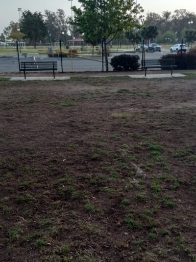 College Dog Park - Oxnard, CA