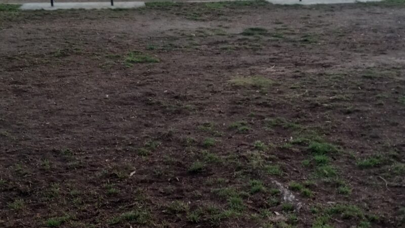 College Dog Park - Oxnard, CA