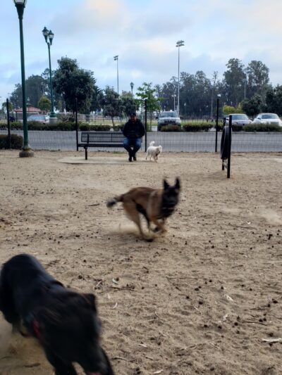 College Dog Park - Oxnard, CA