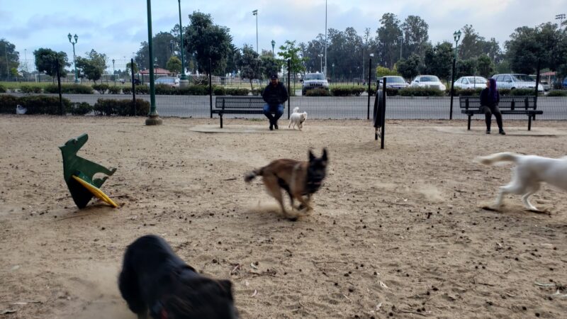 College Dog Park - Oxnard, CA