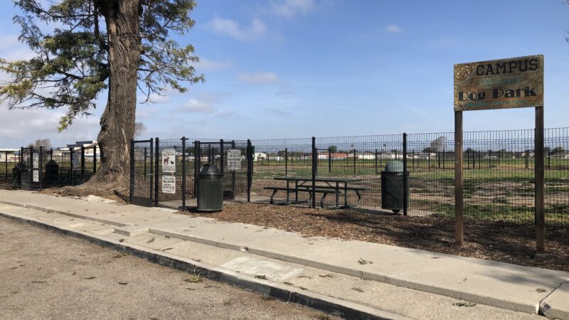 Dog Park - Oxnard, CA