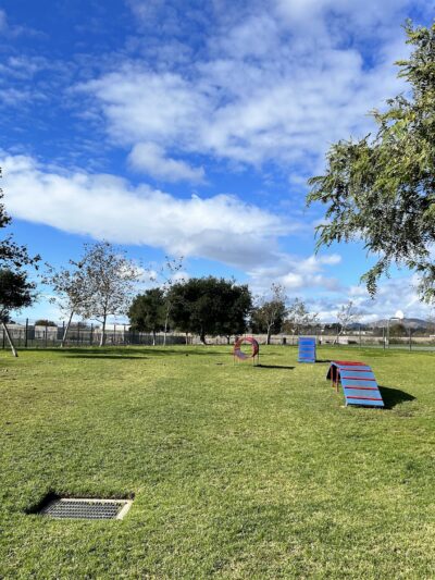 Windrow Off-leash Dog Park - Oxnard, CA