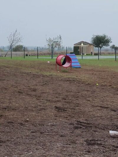 Windrow Off-leash Dog Park - Oxnard, CA