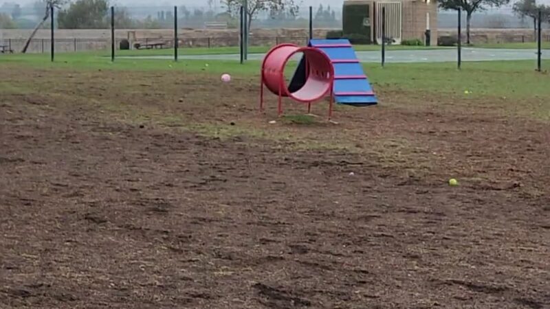 Windrow Off-leash Dog Park - Oxnard, CA