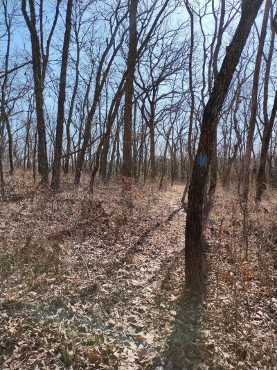 Walking Trail - Ozawkie, KS