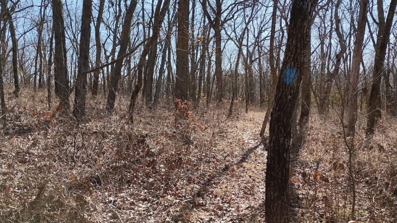 Walking Trail - Ozawkie, KS