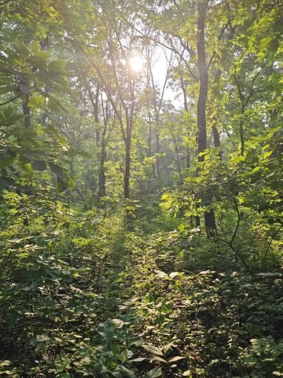 Walking Trail - Ozawkie, KS
