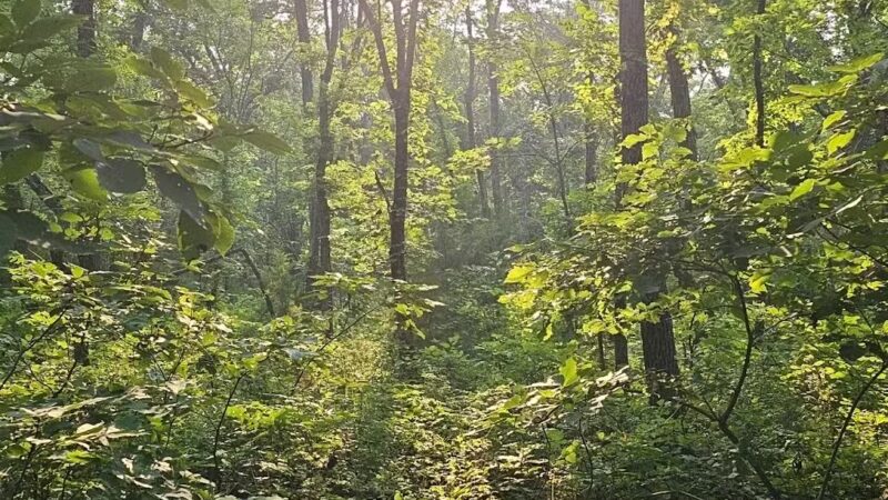 Walking Trail - Ozawkie, KS