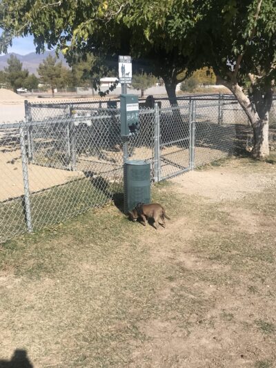 Blosser Dog Park - Pahrump, NV