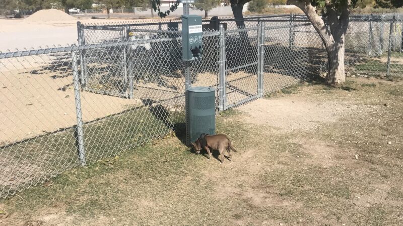 Blosser Dog Park - Pahrump, NV