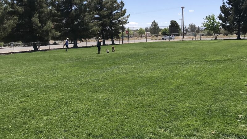Blosser Dog Park - Pahrump, NV