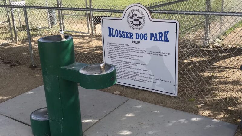 Blosser Dog Park - Pahrump, NV