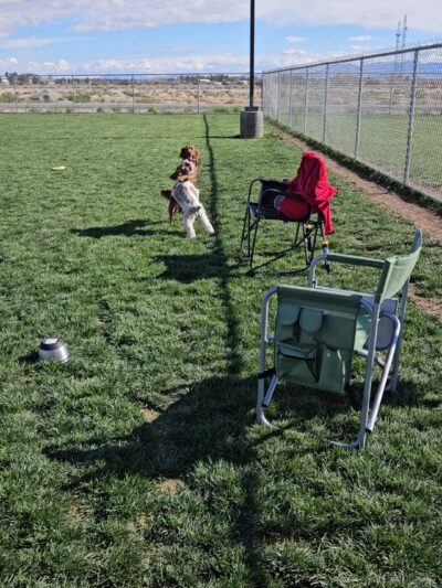 Kellogg Park - Pahrump, NV