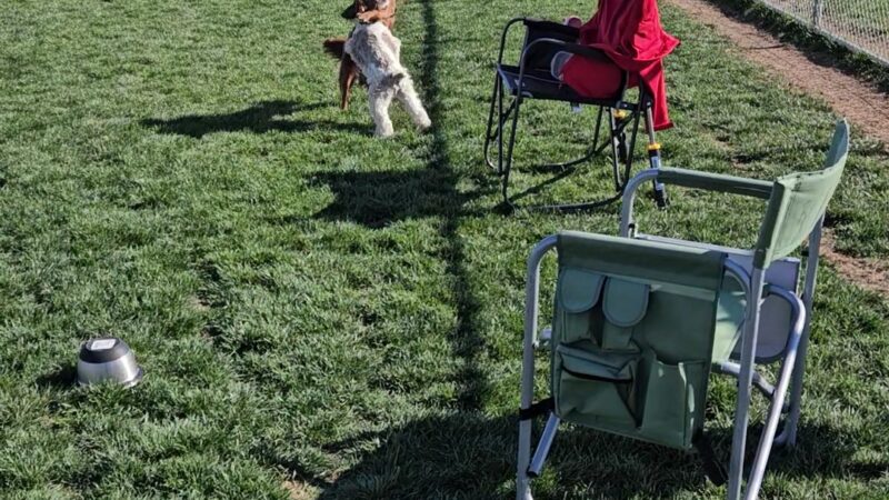 Kellogg Park - Pahrump, NV