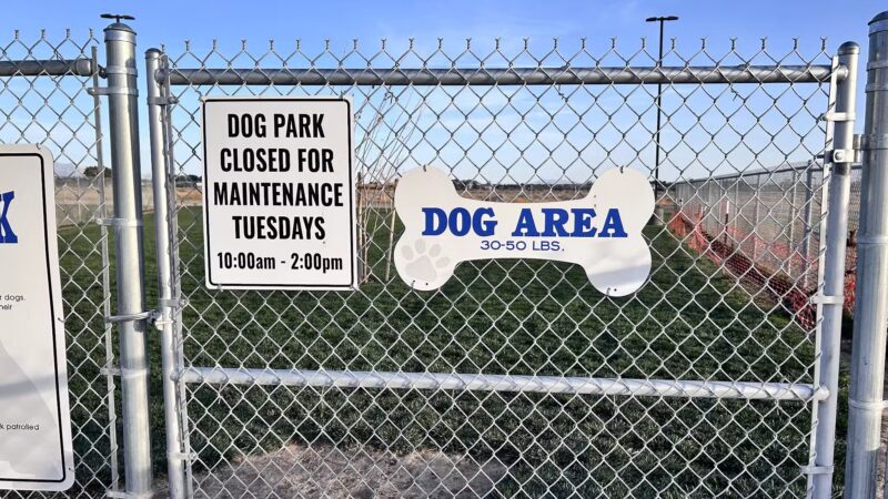 Kellogg Park - Pahrump, NV